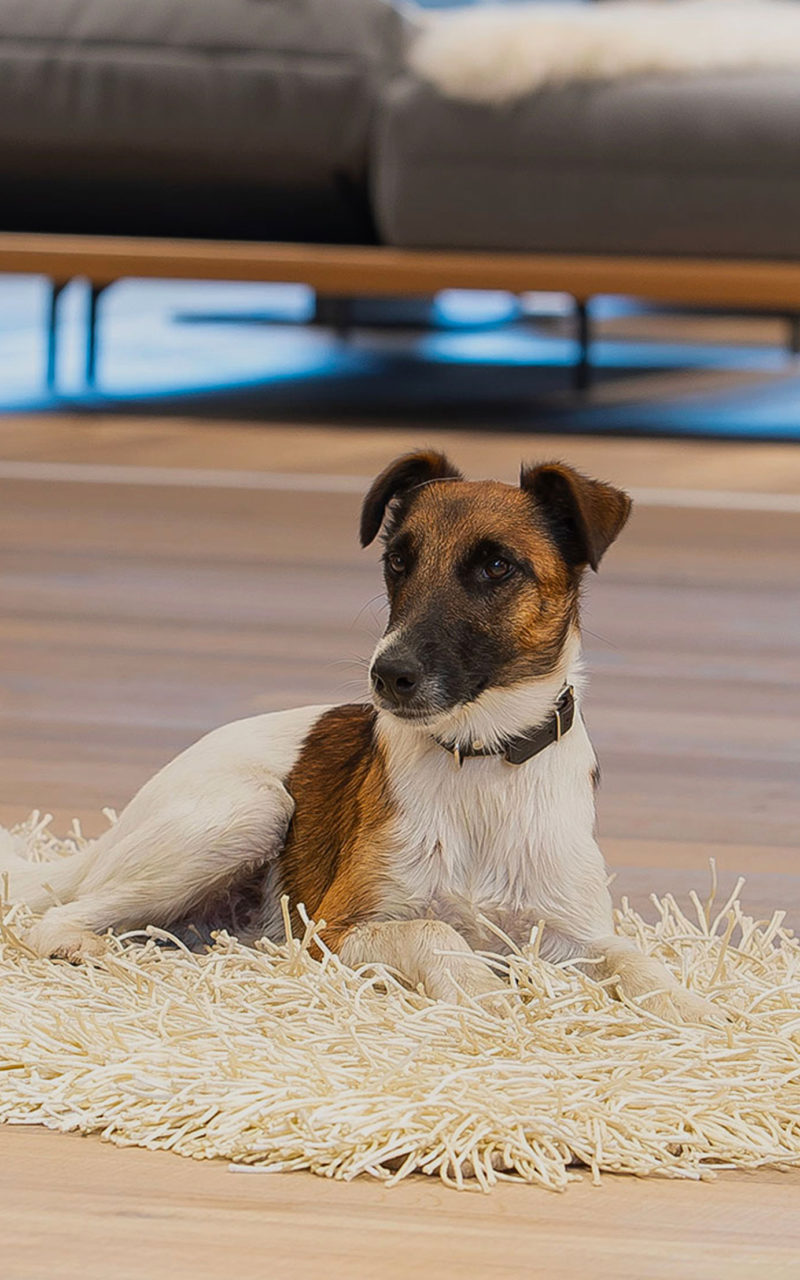 Wohnzimmer – Möbel Sprenger